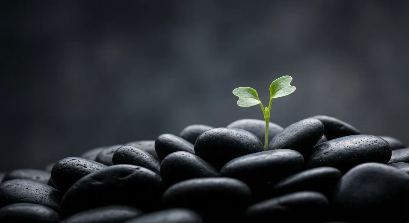 Icône de croissance financière représentée par une pousse verte sur pierres volcaniques.